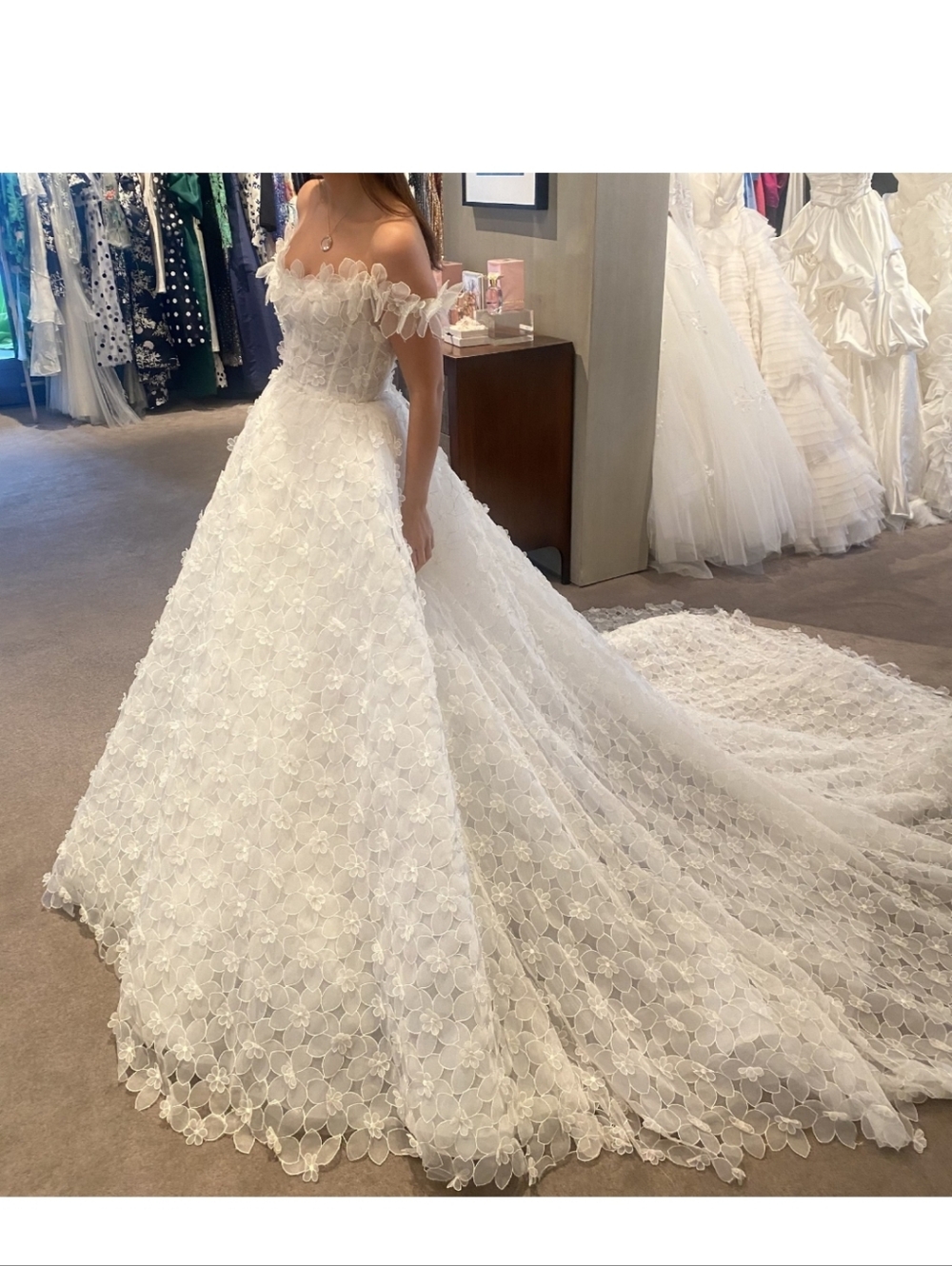 Monique Lhuillier Regency Gown